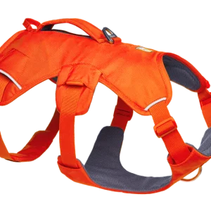 Harnais pour chien avec poignée Web Master™