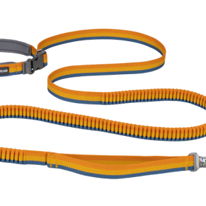 Laisse élastique Roamer™