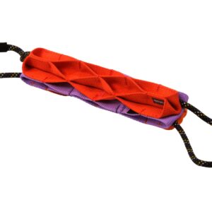 Jouet à tirer Webbing Remix™️ Cactus Tug